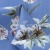 Плательная ткань "Фламенко" 12.1, 80 гр/м2, шир.150 см, принт растительный - купить в Первоуральске. Цена 241.49 руб.