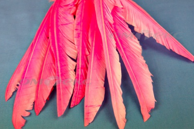 Декоративный Пучок из перьев, перо 25см/розовый - купить в Первоуральске. Цена: 14.40 руб.