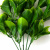 Трава искусственная -1, шт (эвкалипт лист 32 см/8 см)				 - купить в Первоуральске. Цена: 169.93 руб.