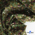Ткань костюмная «Микровельвет велюровый принт», 220 г/м2, 97% полиэстр, 3% спандекс, ш. 150См Цв  #9 - купить в Первоуральске. Цена 439.76 руб.