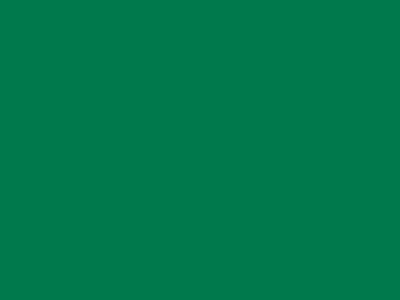 85 см № 258 яр. зеленый спираль (G) сорт-2 - купить в Первоуральске. Цена: 16.97 руб.