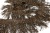 008-коричневый, Бахрома арт.001 шир.10см (упак.12+/-0,5м) - купить в Первоуральске. Цена: 1 017.33 руб.