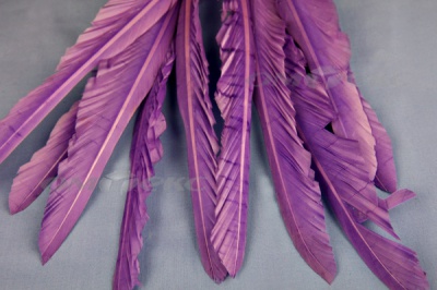 Декоративный Пучок из перьев, перо 25см/фиолетовый - купить в Первоуральске. Цена: 12.19 руб.