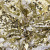 Трикотажное полотно, Сетка с пайетками, шир.130 см, #315, цв.-белый/золото - купить в Первоуральске. Цена 693.39 руб.