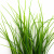 Трава искусственная -3, шт (осока 50 см/8 см  5 листов)				 - купить в Первоуральске. Цена: 124.17 руб.